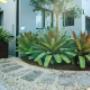 Vaucluse Garden Design - Vogue & Vine Landscape Designer Sydney