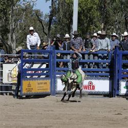 North Queensland Elite Rodeo