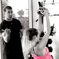 VFIT Training