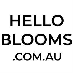 Hello Blooms