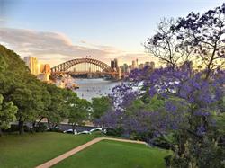 Christ Church Lavender Bay