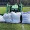 Homerun-LS-ryegrass-seed