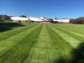 Grass seed