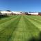 Reserve-perennial-ryegras