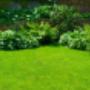 Garden Design Tips For Northern Beaches Home