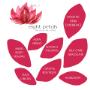 Eight Petals