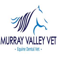 Murray Valley Equine Dental Vet