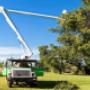 tree cutting services, tree trimming service, tree service near me, tree removal near me, tree remov