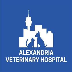 Alexandria Vet Hospital