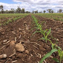 Advanced Ag Shepparton