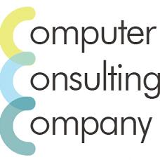 Computer Consulting Company