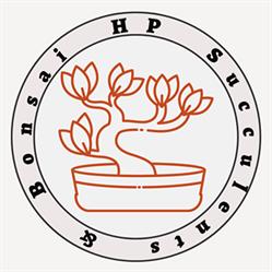 HP Succulents & Bonsai