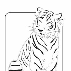The Good Tiger Brighton