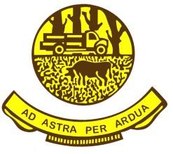 Edith Creek Primary School