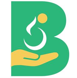 BLISS DISABILITY CARE SERVICES