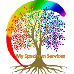 My Spectrum Services