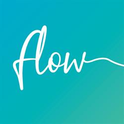 Flow Financial