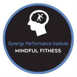 Synergy Performance Institute