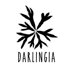 Darlingia