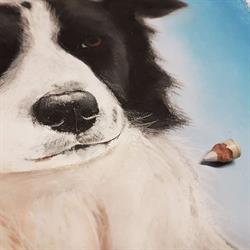 Pet Pastel Portraits