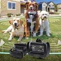 Dog Containment Fences