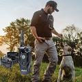 Dog Training Collars