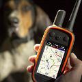 GPS Dog Tracking Collars