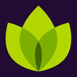 Prominent Financial Services