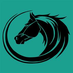 Tandan Equine