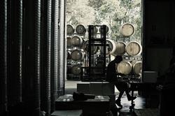 Harewood Estate Wines