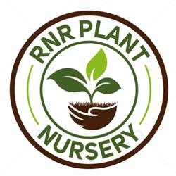 RnR Plant Nursery