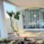 555 Magill Road