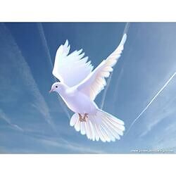 Coffs Harbour Clinic of Hypnotherapy