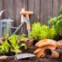 Gardening