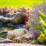 Landscape designer