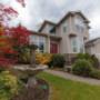 Landscape designer