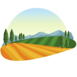 Landscaping Newcastle Pro