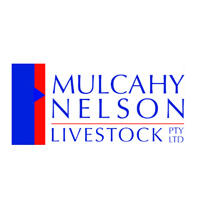 AWN Nelson Livestock