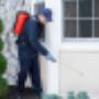 Expert Pest Control You Can Rely On