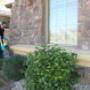 Expert Pest Control You Can Rely On