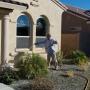 Protect Your Home and Business from Termites