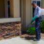Protect Your Home and Business from Termites