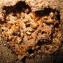 Protect Your Home and Business from Termites
