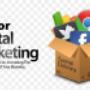 Mirror Digital Marketing