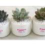 Plant Gifts in Australia