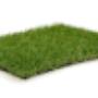 Grass