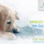 Carpet Cleaning Melbourne