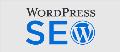 WORLDPRESS SEO