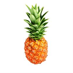 Pineapple Tours
