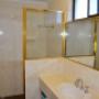 Shower and vanity